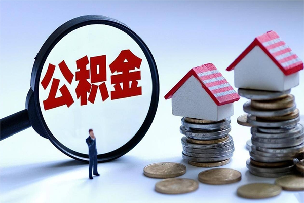 肇东个人公积金提出资料（住房公积金个人怎么提取要什么证件）